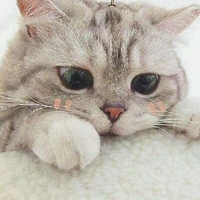 TG Siu Cute