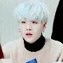 kim Yoongi ( suga )