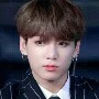 jeon jungkook ( kookie)
