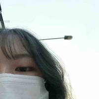 Bánh Bao (tác giả)