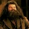 Rubeus Hagrid