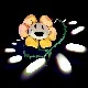 Flowey - Kni