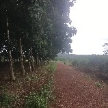 đất
