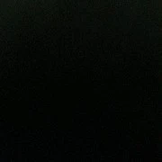 Cả đám