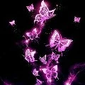 Purplefly
