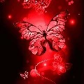 Redfly