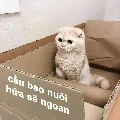 please nuôi tao