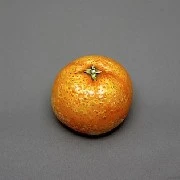 Cam 🍊