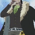 Crocodile