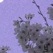 Nhân vật tổng hợp (Người qua đường)