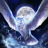 Geilds (Chim lợn mập đjt)