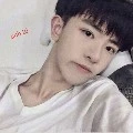 Lưu anh tú (Ti anh)
