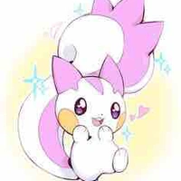 Hita(poke han)