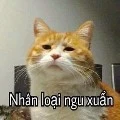 Hệ thống ăn cháo đá bát