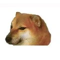 gâu đôn