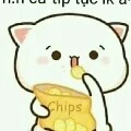 tất cả mọi người