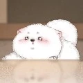 Cẩu Cẩu__Hệ thống
