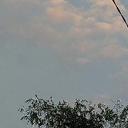 nhạc