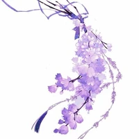 NV phụ