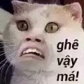 Hộ a e cây khế của Bingrie