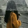Lãnh Giai Kỳ