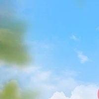 Tác giả cute hột me