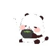 Mr.Gấu