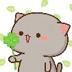 Mr.Meo