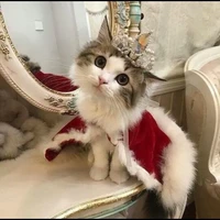 All mấy cô (- nó  )