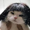 Mồn Lèo :)) (Trợ lý)