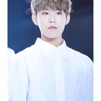 PARK WOOJIN