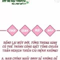 các câu hỏi