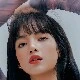 lalisa ( y )
