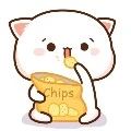 Mèo Cute