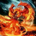Phượng Hoàng Lửa_Minh Hỏa_Dạng thú