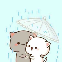 Mèo đần ( tác giả)