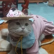 Người dưng