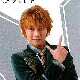 Don Dongoier( Gokai Green)