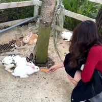 Kirrinamako - Tác giả lười