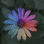 tác giả
