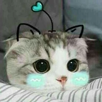 cửu siu lười><