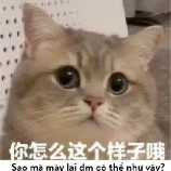 người bí ẩn