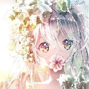 Hàn Nguyệt Băng(elasr)