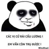 Tác giả