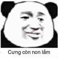 Hệ thống *cu to*