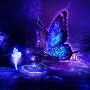 NV tổng hợp