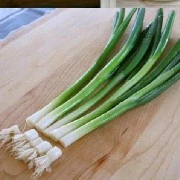 Hành(TG)(Kịch bản)