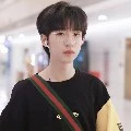 Hạ Tuấn Lâm