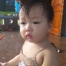 tác giả Nhím đây