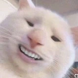 Tác Giả Siêu Cute :))